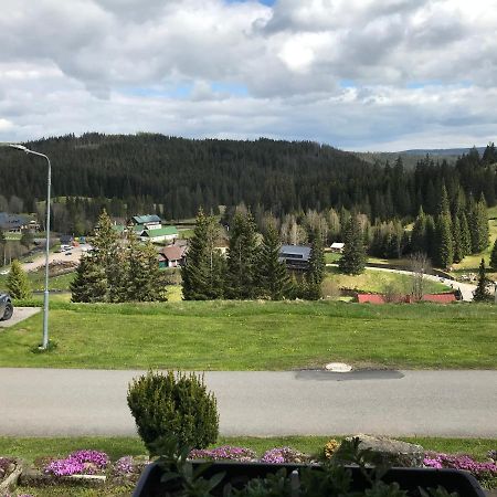 Apartman Na Kopecku Modrava Buitenkant foto